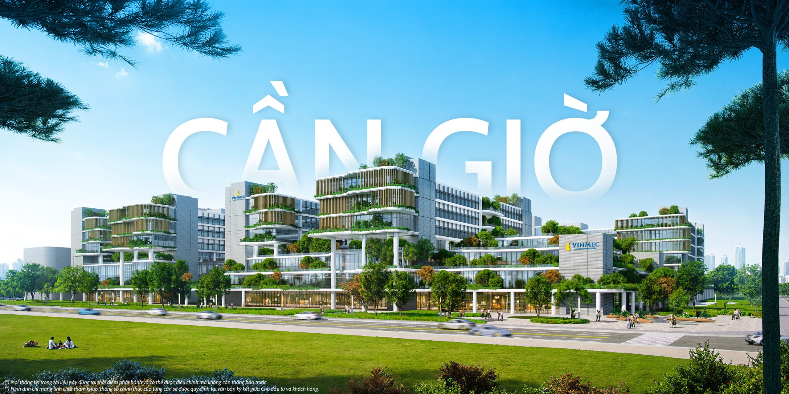 căn hộ mik cần giờ - Hinh 1