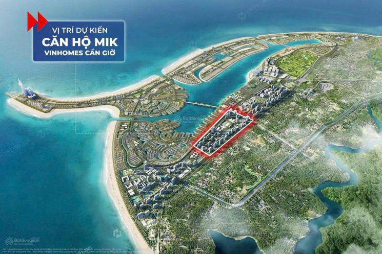 căn hộ mik cần giờ - Hinh 1