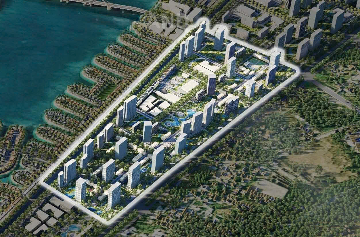 mik cần giờ - Hinh 1