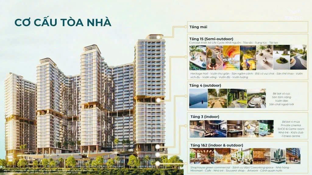 Thị Trường Chung Cư MIK Cần Giờ Quý 2/2026 - Hình 8
